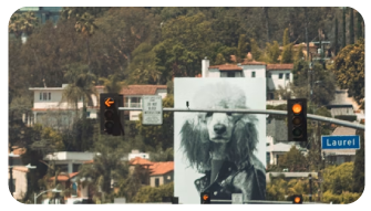 Instalación y desinstalación publicitaria